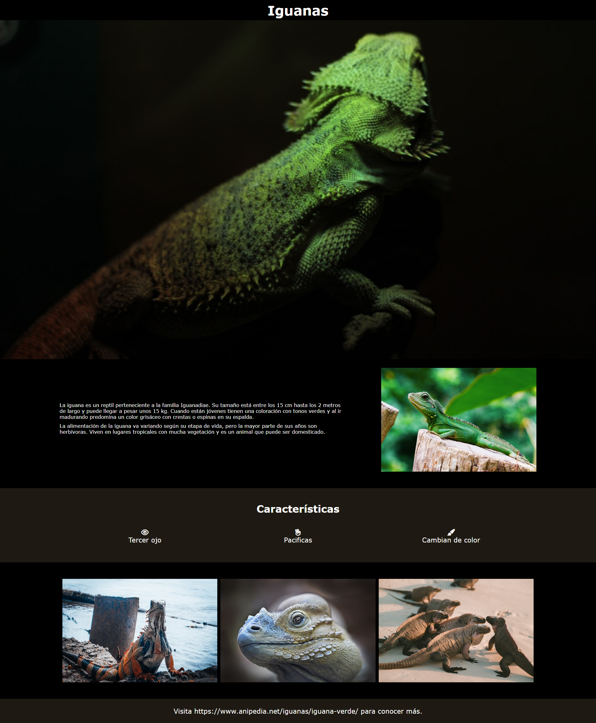 Página Iguana