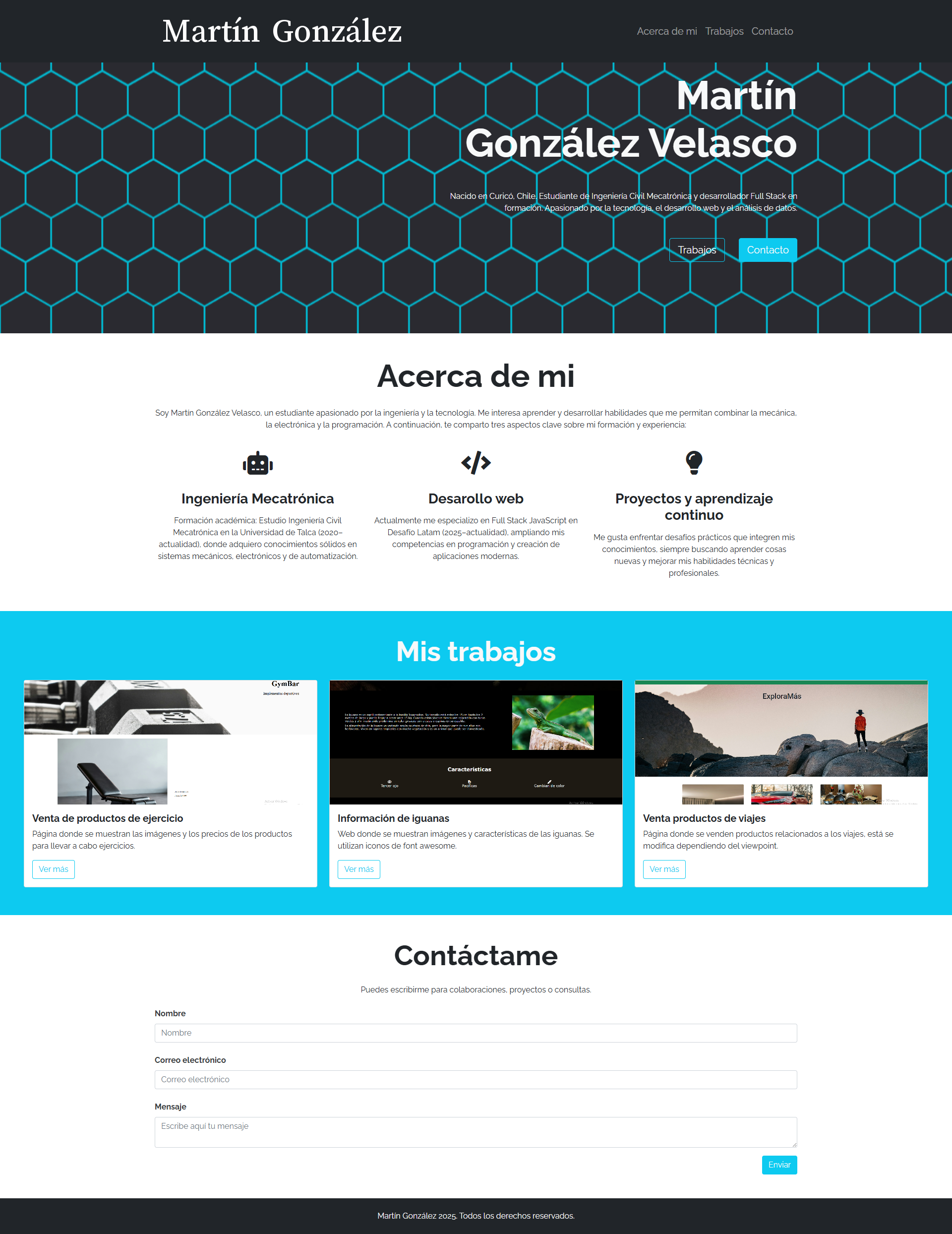Página CV Martín